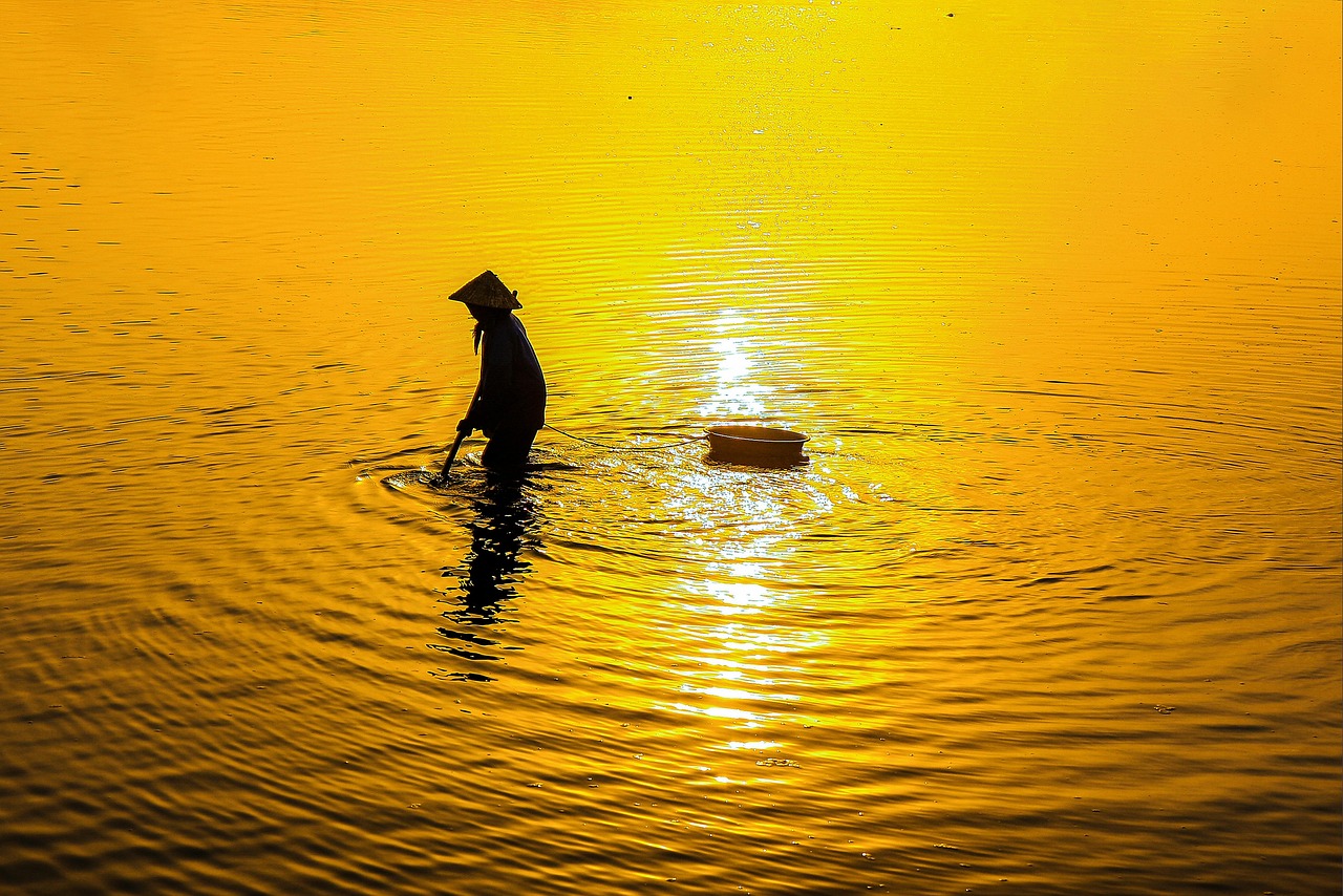 忏悔录案例研究当请求捐款出错时