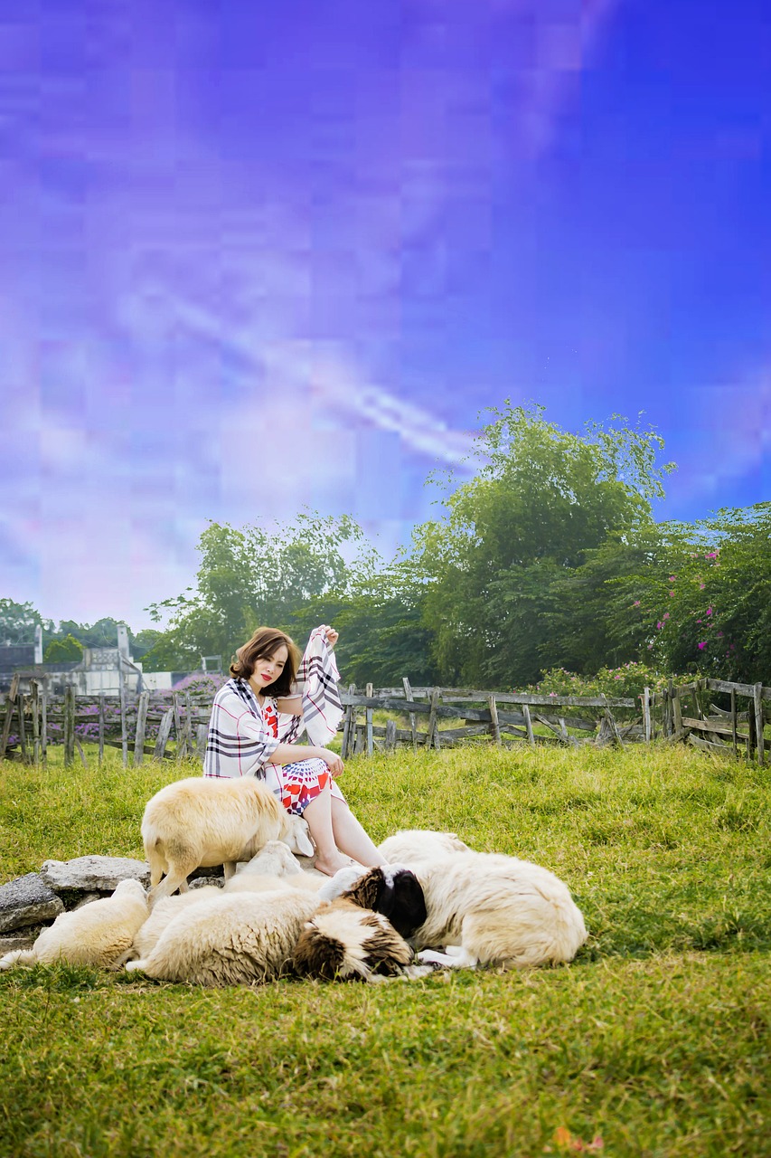 匿名视频房间的亲切与安全之谜