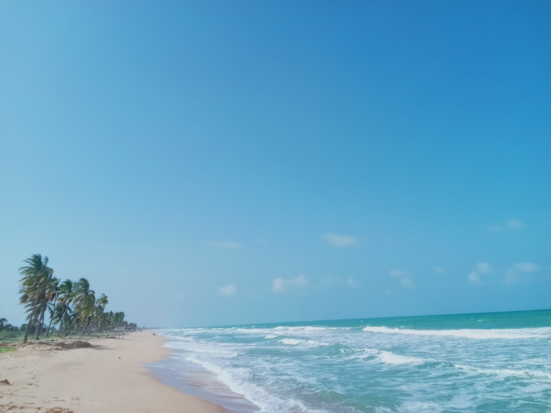 匿名聊天伴侣人们真正想要的是什么